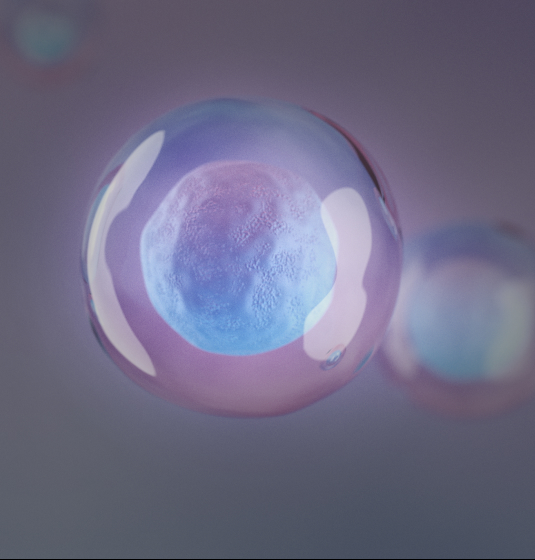 Single Cell Multi-omics Analysis