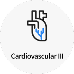 Cardiovascular Ⅲ